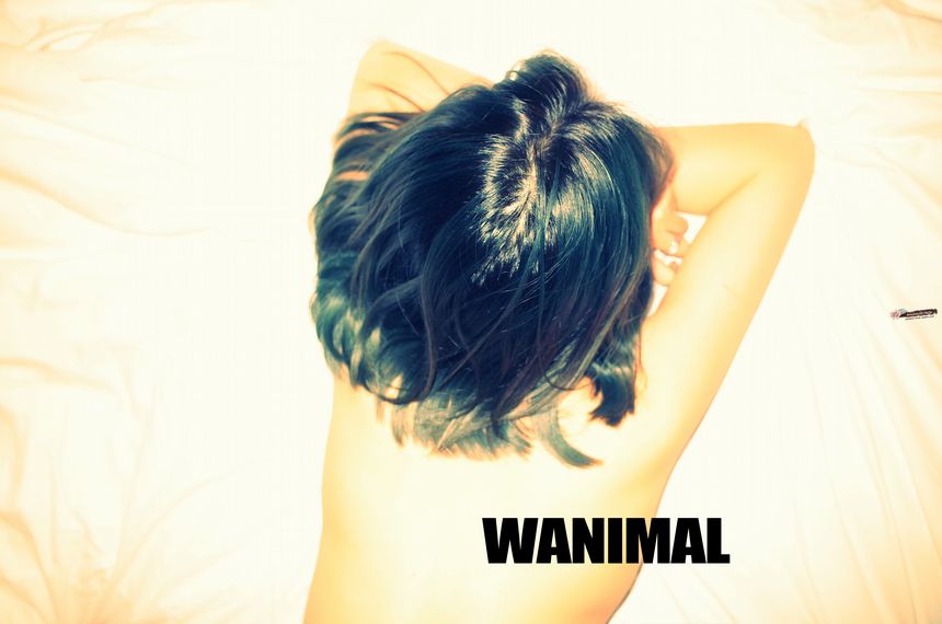 ͼ[108P] 8VIP WANIMALٷƷ ʥ 1ҳ