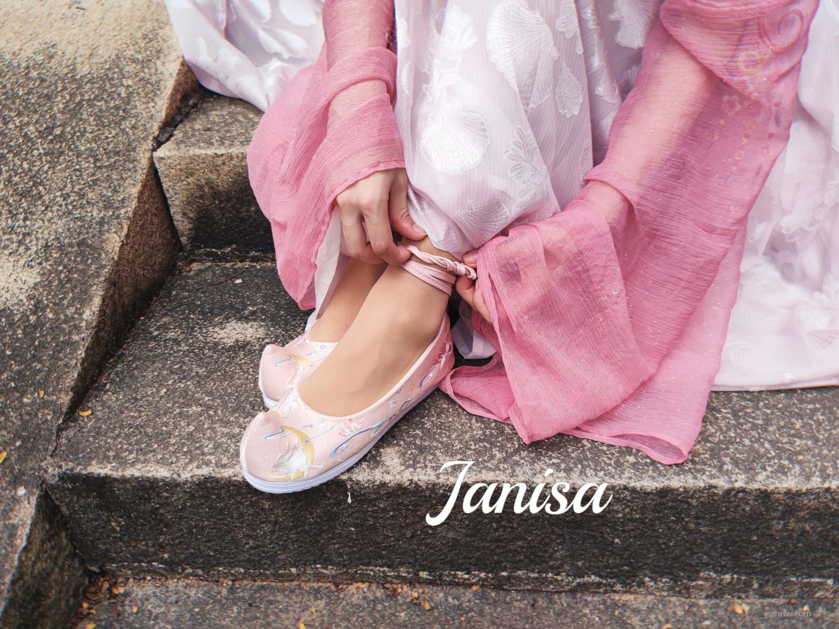 Janisa  ɫŮд ˽ͼ 3ҳ